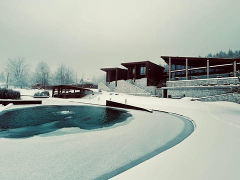 Hotel Ramonda Hotel in Serbia