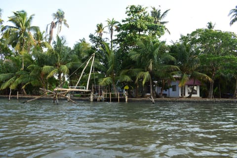Area and facilities