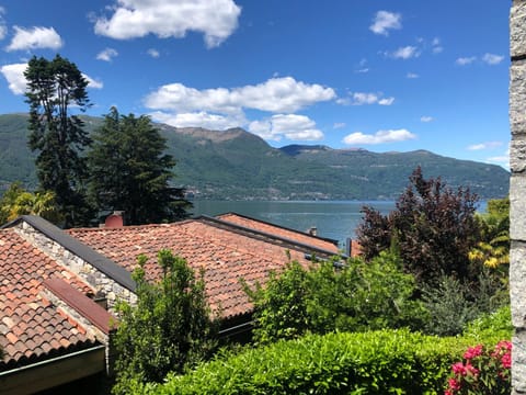 Lake view