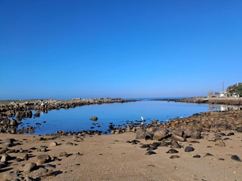 Day, Natural landscape, Beach, Sea view