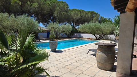 Mas de Plisset Apartment in Arles