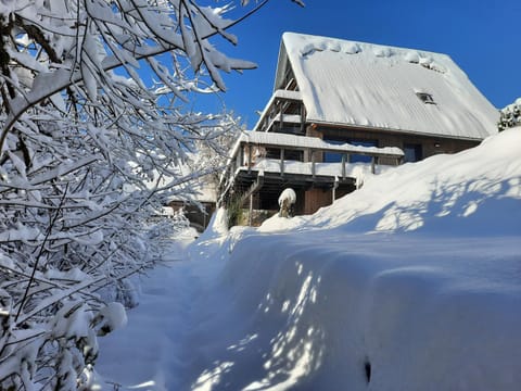 Haus mit Bergblick House in Berchtesgadener Land