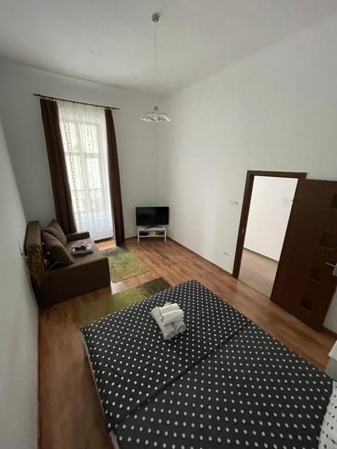 Poppys Apartment Apartment in Timiș County