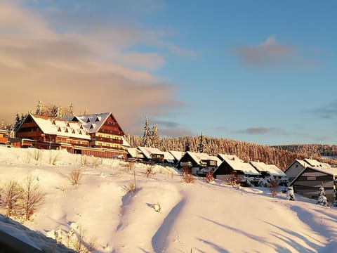 Natural landscape, Winter, Skiing, Skiing