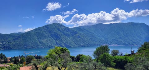 Casa Intignano - appartamento con terrazzo vista lago Apartment in Tremezzo