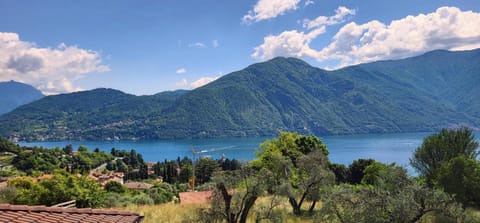Casa Intignano - appartamento con terrazzo vista lago Apartment in Tremezzo
