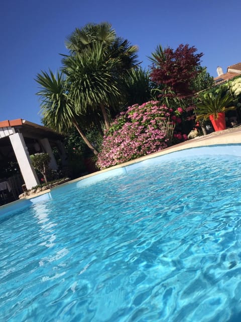 Garden, Swimming pool