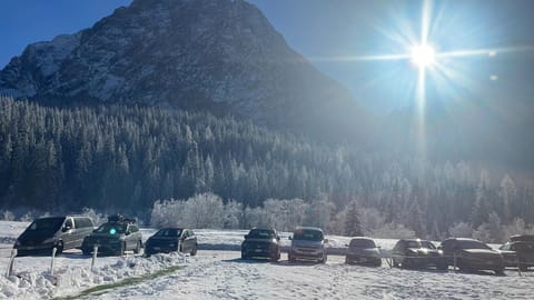 B&B IL Nido Bed and Breakfast in Friuli-Venezia Giulia