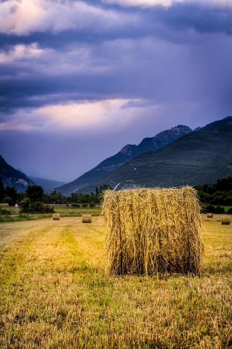 Property building, Natural landscape, Hiking
