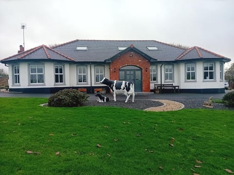 Creeghduff Lodge Bed and Breakfast in Northern Ireland