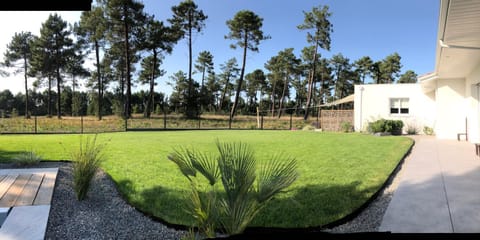 Natural landscape, Garden, Garden view