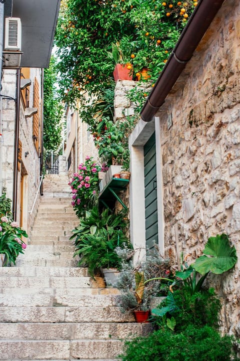 Facade/entrance, Neighbourhood