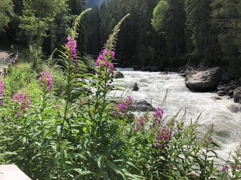 Apartment Christa Apartment in Tyrol