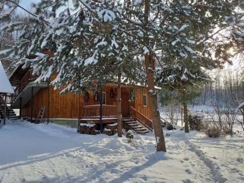 Property building, Day, Winter