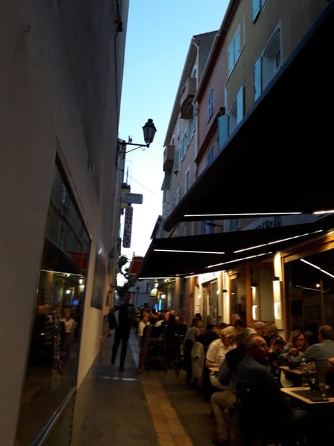 LA GRANDE MAISON centre Apartment in French Riviera