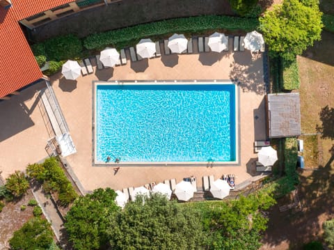 Pool view, Swimming pool