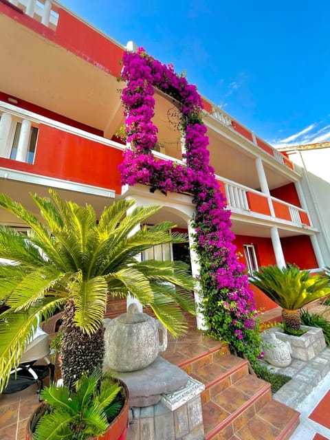 Property building, Facade/entrance, Garden