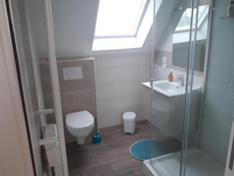 Shower, Toilet, Bathroom, towels