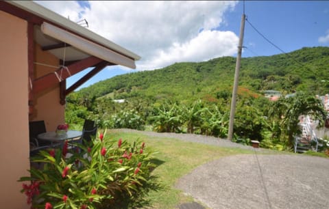 Property building, Natural landscape, Garden, Garden view, Mountain view