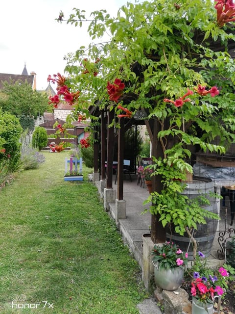 Patio, Garden, Garden view, Breakfast