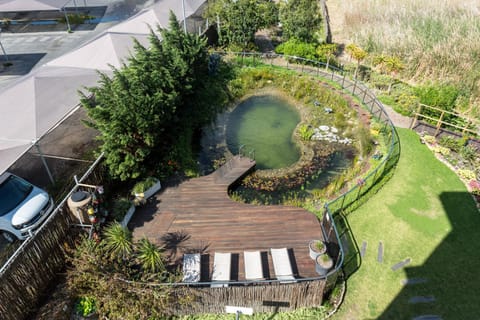 Bird's eye view, Garden, Other, Decorative detail, Garden view, Pool view, Swimming pool