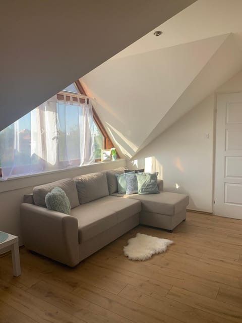 Living room, Photo of the whole room
