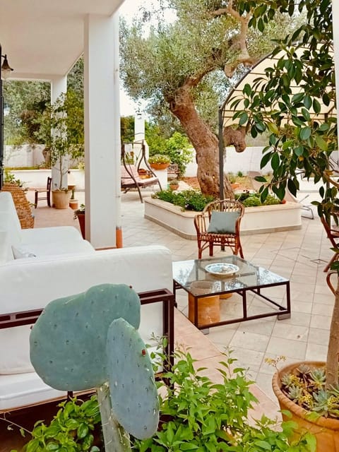Property building, Patio, Balcony/Terrace