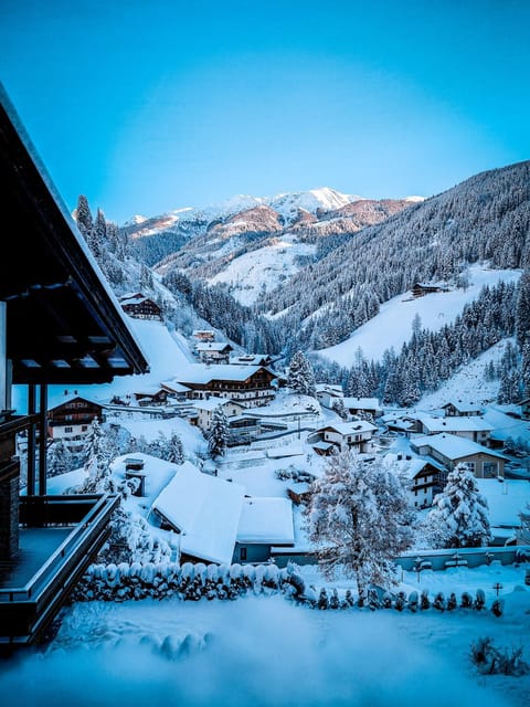 Winter, Mountain view