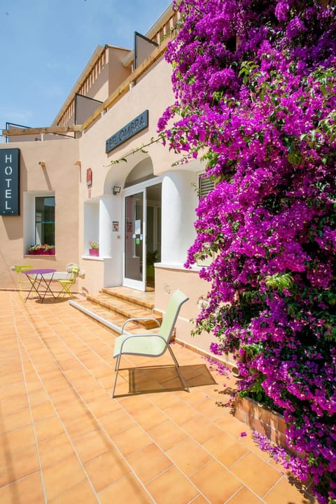 Patio, Facade/entrance, Day