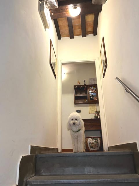 Residenza Le Logge Bed and Breakfast in Gubbio