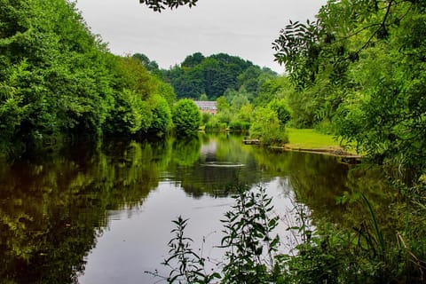 Natural landscape, Lake view