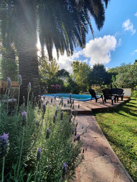 Day, Natural landscape, Garden view, Pool view