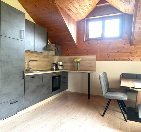 Kitchen or kitchenette, Dining area, oven, stove