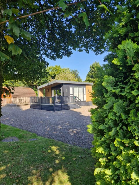 Patio, View (from property/room), Pets