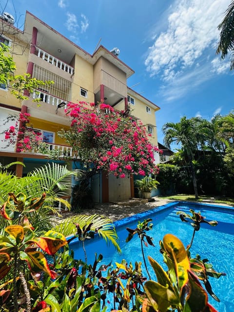 Property building, Day, Garden, Garden view