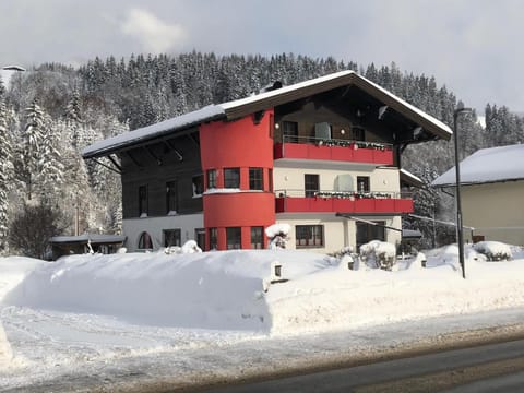 Appartementhaus Bergblick Apartment in Salzburgerland
