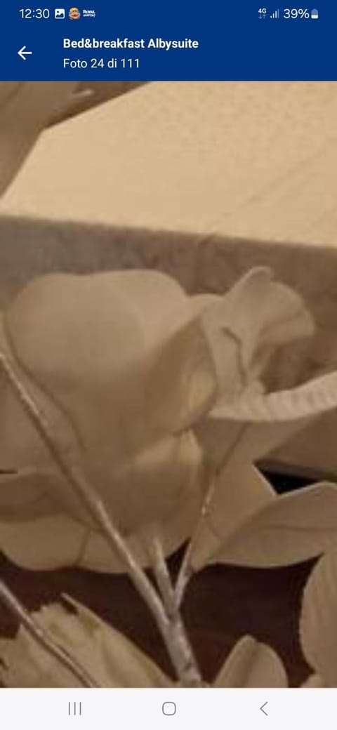 Alby suite Bed and Breakfast in Termoli