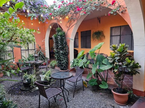 Patio, Garden, Garden view
