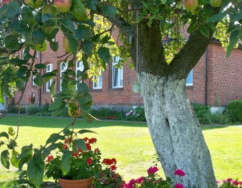 Pod Jabłonią Vacation rental in West Pomeranian Voivodeship, Poland
