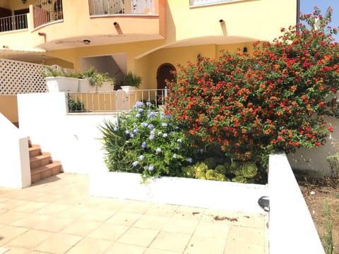 Appartamento nel Residence Lu Brandali Apartment in Santa Teresa Gallura