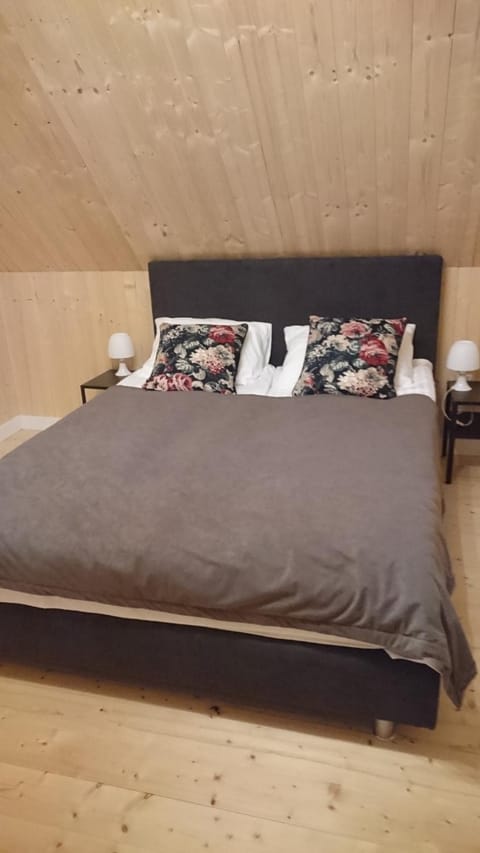 Domy Solmare House in Pomeranian Voivodeship