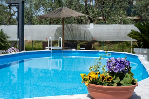 Spring, Day, Garden, Garden view, Pool view, Swimming pool, sunbed