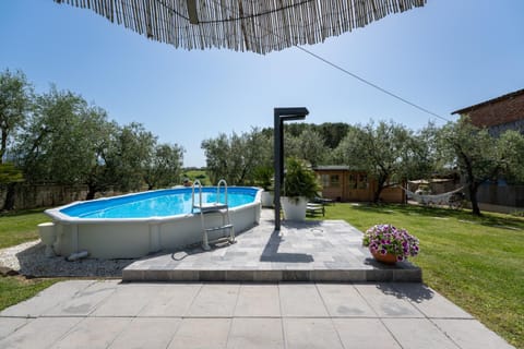 Spring, Day, Natural landscape, Garden, Garden view, Pool view, Swimming pool, sunbed