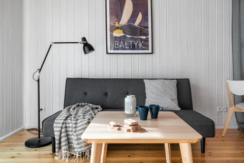 Na skraju lasu House in Pomeranian Voivodeship