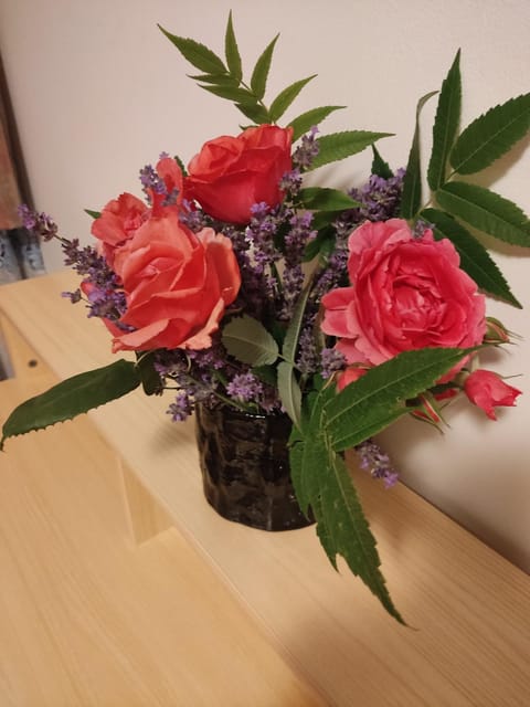 Apartman House Annesa Apartment in Sarajevo