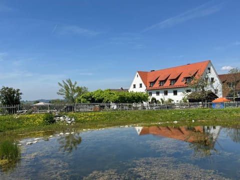 Property building, Garden, Garden view