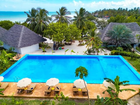 Garden, Swimming pool