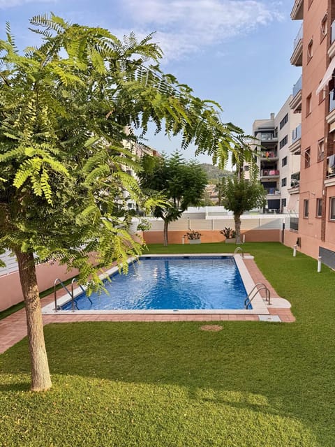 Garden, Garden view, Swimming pool