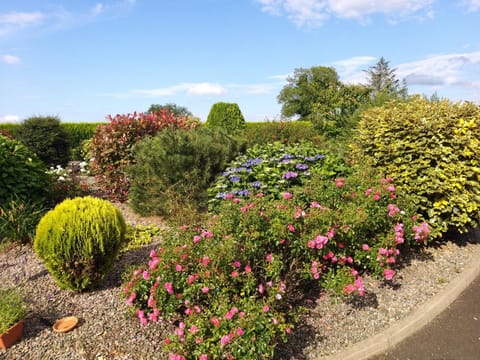 40 AntrimHeightsbnb MOBILE self catering can sleep 7 Apartment in Northern Ireland