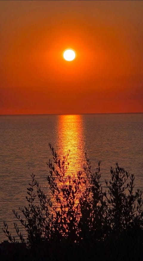 Dimora Acqua del Fico Bed and Breakfast in Castellabate